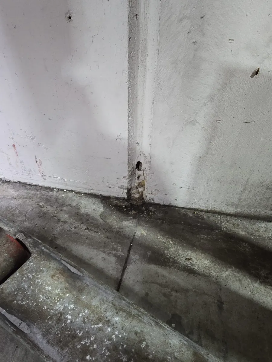Rodent Entry Point in Wall — Before Proofing