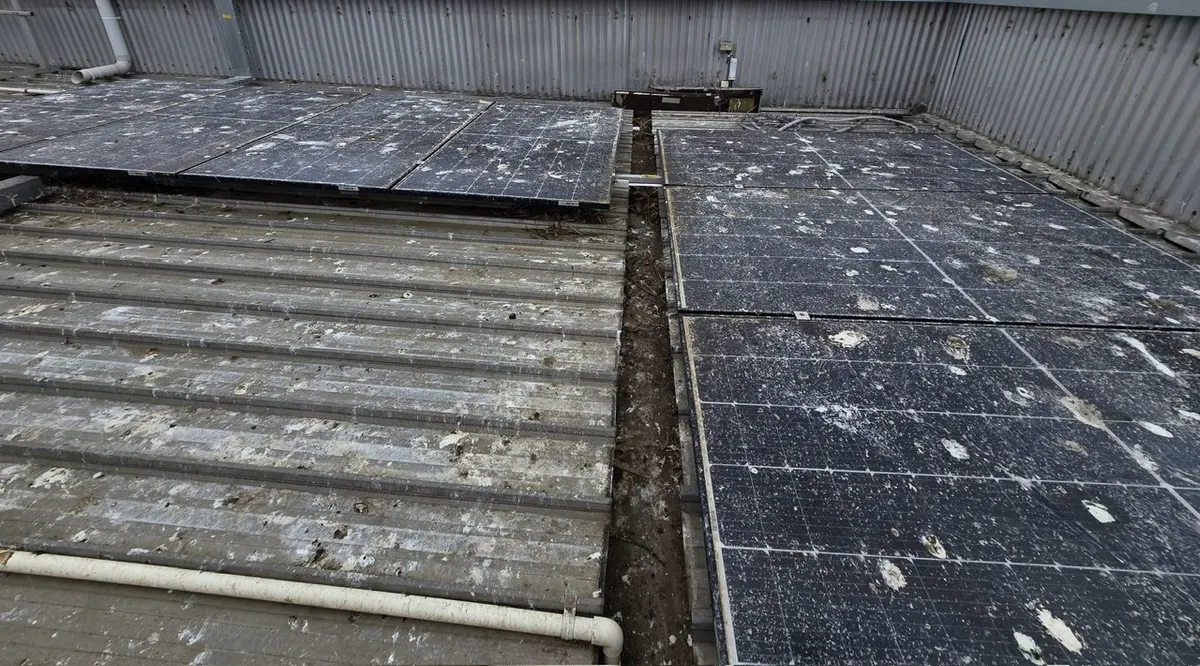 Bird droppings fouling a rooftop solar array before proofing