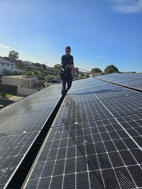 Protech technician working across a rooftop solar array during bird proofing