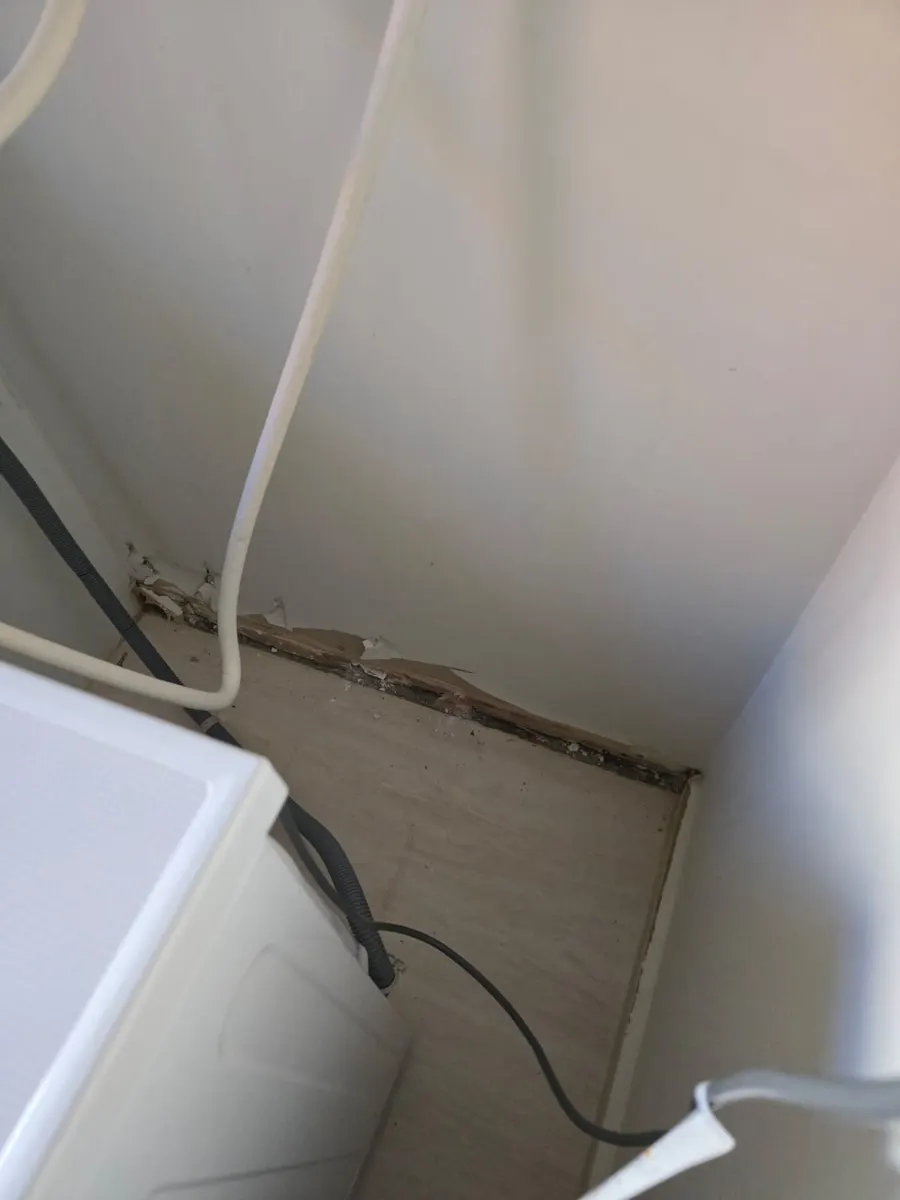 Termite Damage Behind Bathroom Skirting